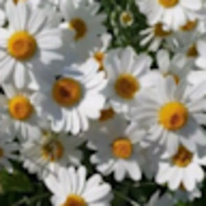 Meet your Posher, Karla